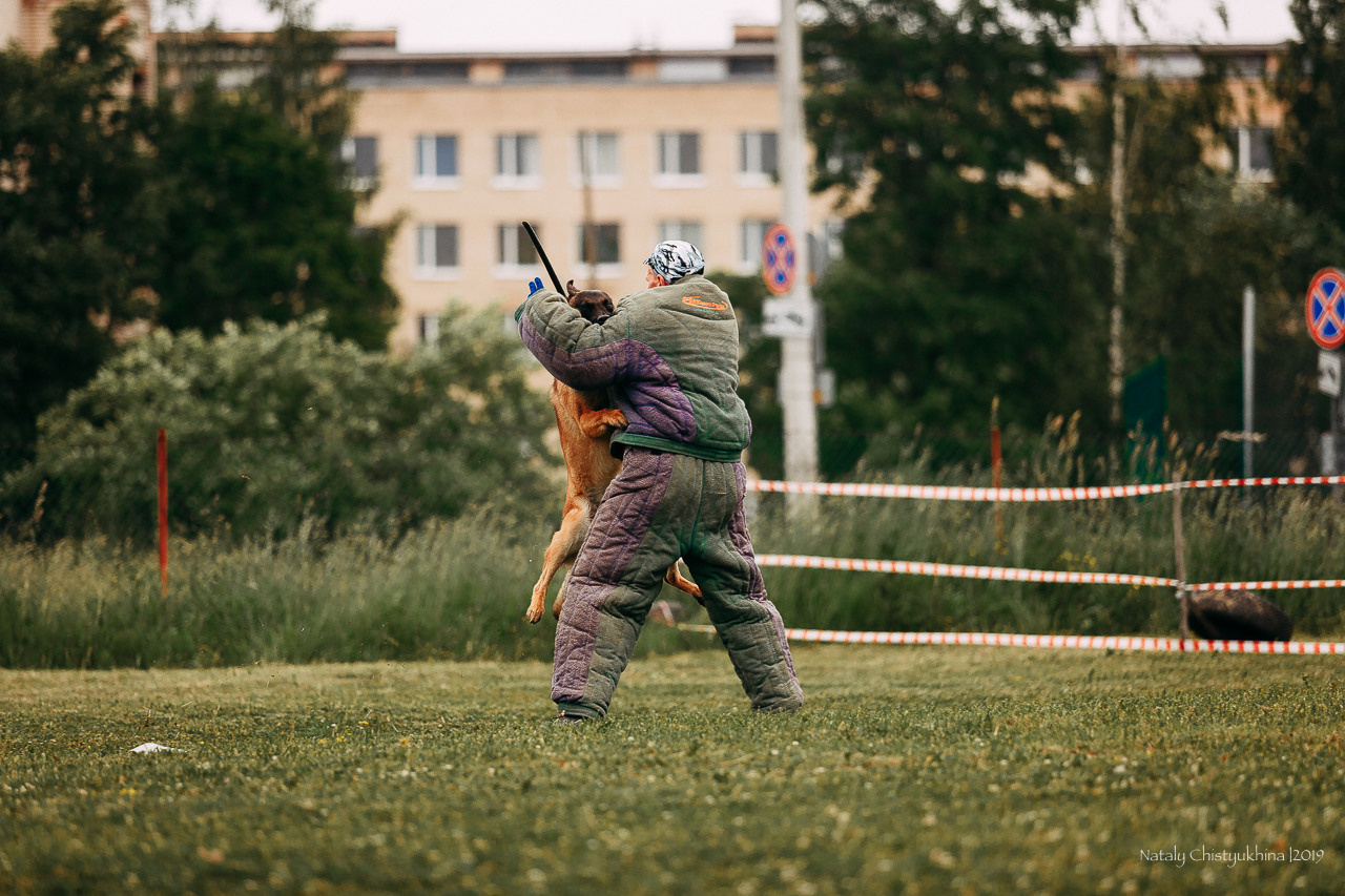 Соревнования БРР. Фотограф-анималист Наталия Чистюхина в г. Сосновый Бор и ЛО