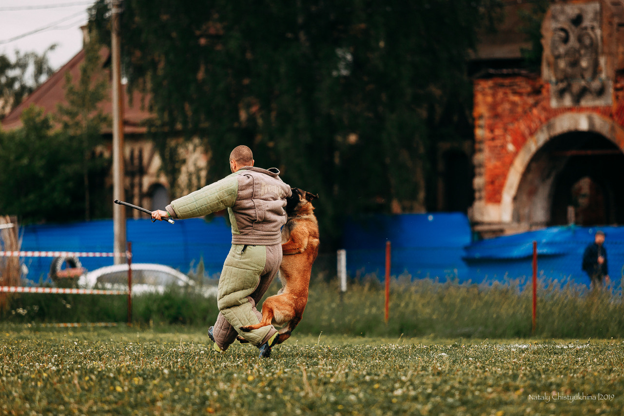 Соревнования БРР. Фотограф-анималист Наталия Чистюхина в г. Сосновый Бор и ЛО