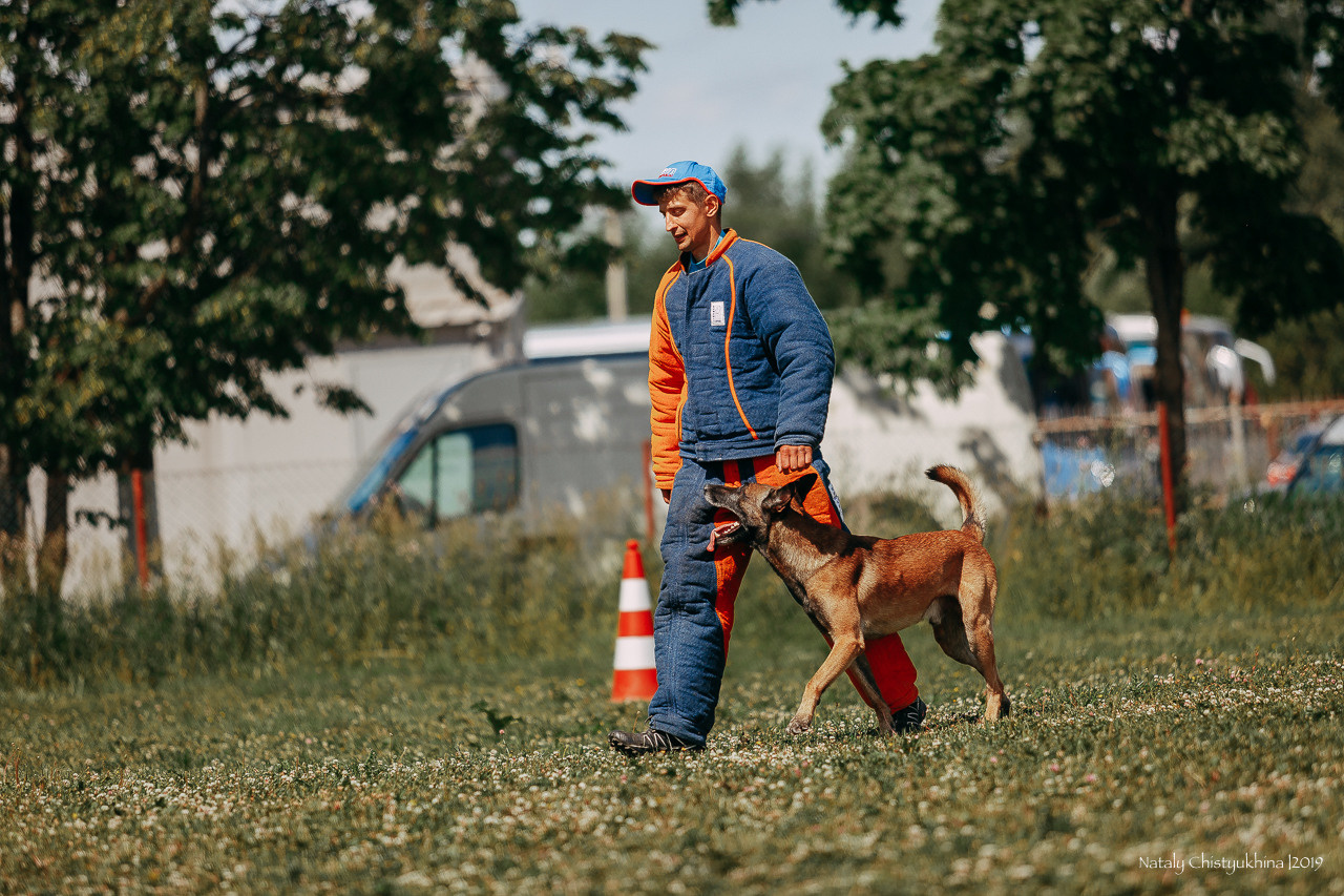 Соревнования по мондьорингу. Фотограф-анималист Наталия Чистюхина в г. Сосновый Бор и ЛО