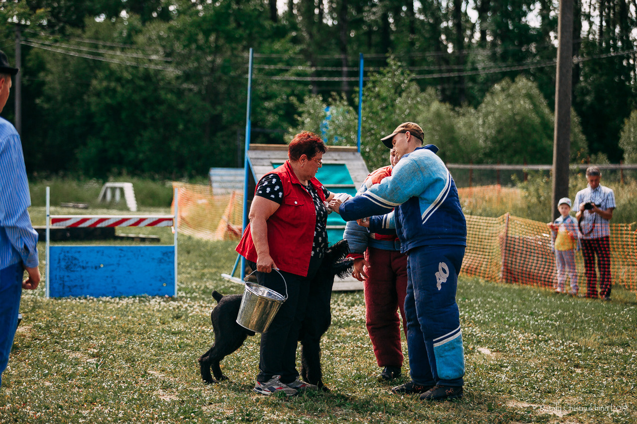 Соревнования по мондьорингу. Фотограф-анималист Наталия Чистюхина в г. Сосновый Бор и ЛО
