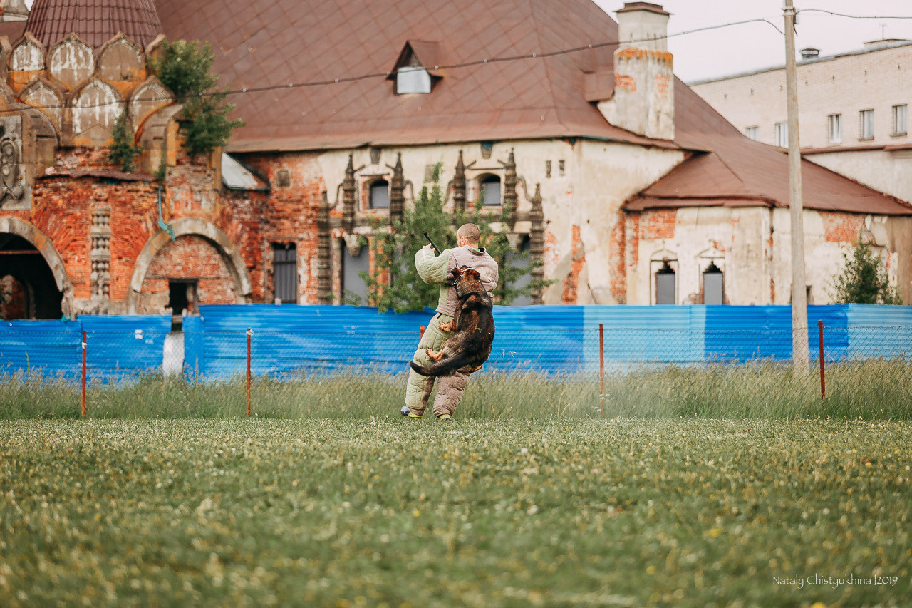 Соревнования БРР. Фотограф-анималист Наталия Чистюхина в г. Сосновый Бор и ЛО