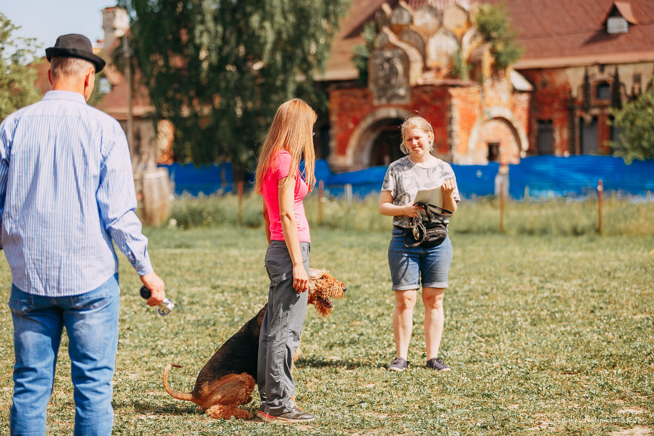 Соревнования по мондьорингу. Фотограф-анималист Наталия Чистюхина в г. Сосновый Бор и ЛО