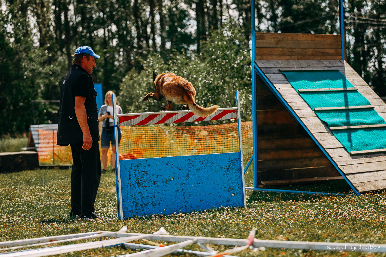 Соревнования по мондьорингу. Фотограф-анималист Наталия Чистюхина в г. Сосновый Бор и ЛО