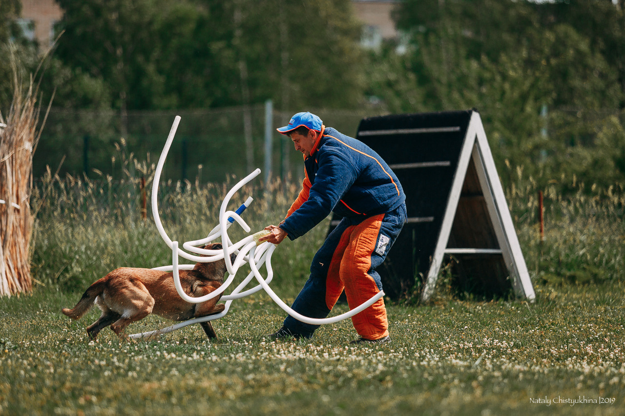 Соревнования по мондьорингу. Фотограф-анималист Наталия Чистюхина в г. Сосновый Бор и ЛО