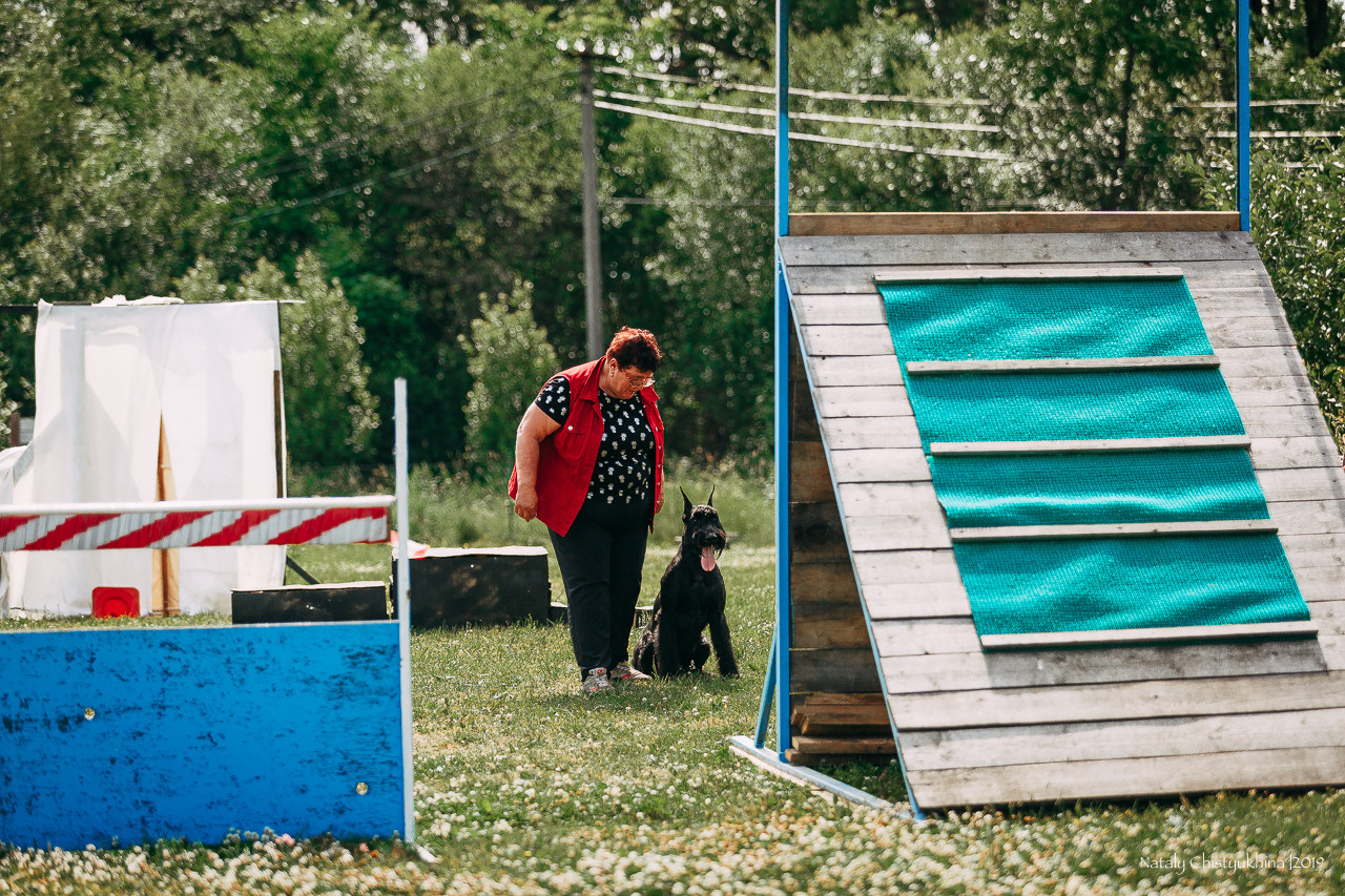 Соревнования по мондьорингу. Фотограф-анималист Наталия Чистюхина в г. Сосновый Бор и ЛО
