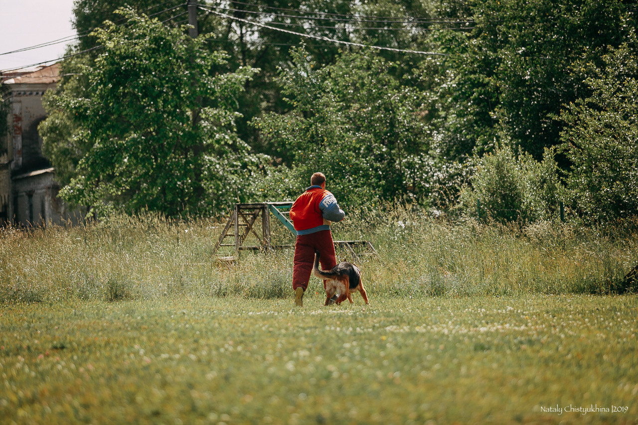 Соревнования по мондьорингу. Фотограф-анималист Наталия Чистюхина в г. Сосновый Бор и ЛО