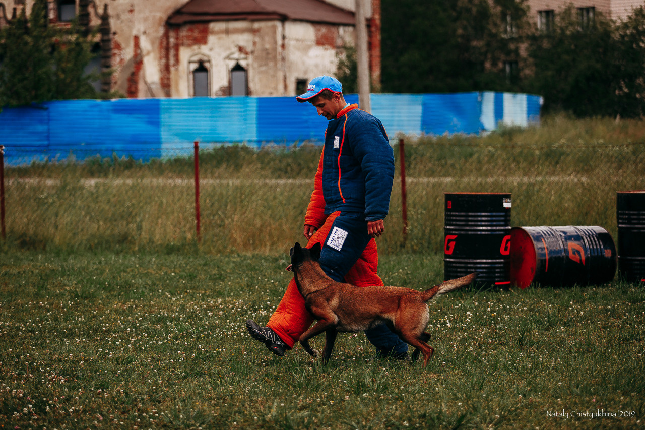 Соревнования по мондьорингу. Фотограф-анималист Наталия Чистюхина в г. Сосновый Бор и ЛО