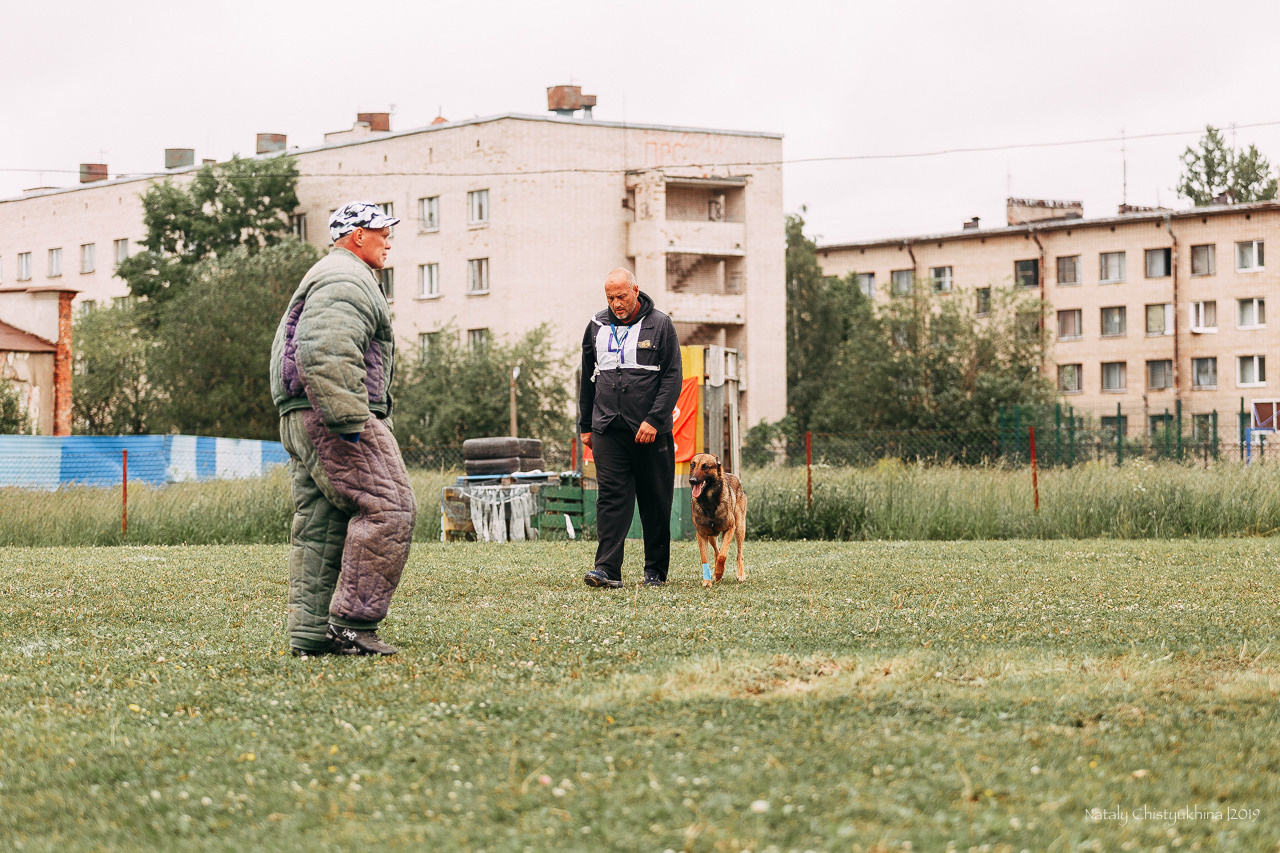 Соревнования БРР. Фотограф-анималист Наталия Чистюхина в г. Сосновый Бор и ЛО