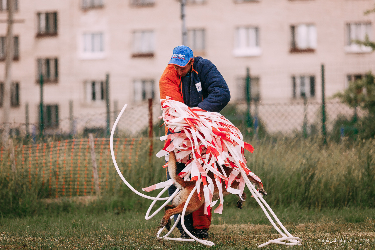Соревнования по мондьорингу. Фотограф-анималист Наталия Чистюхина в г. Сосновый Бор и ЛО