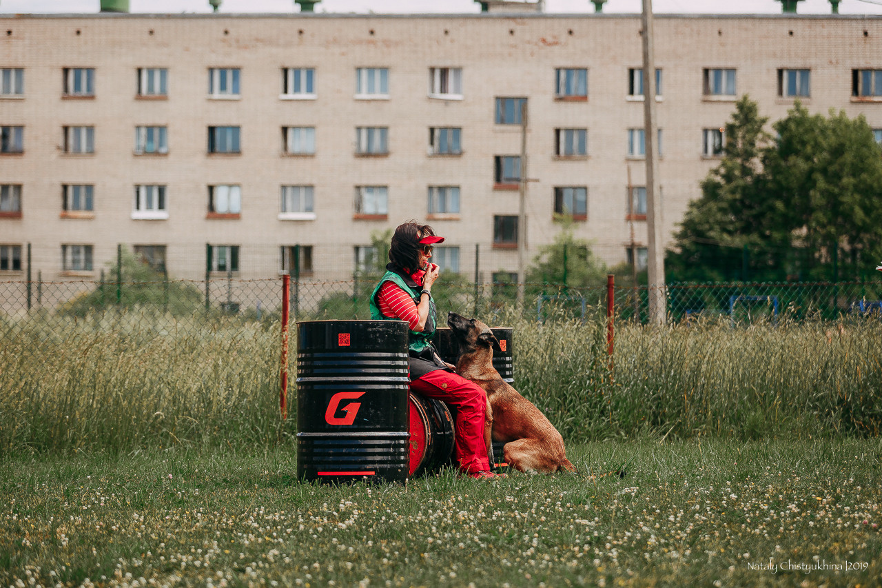 Соревнования по мондьорингу. Фотограф-анималист Наталия Чистюхина в г. Сосновый Бор и ЛО