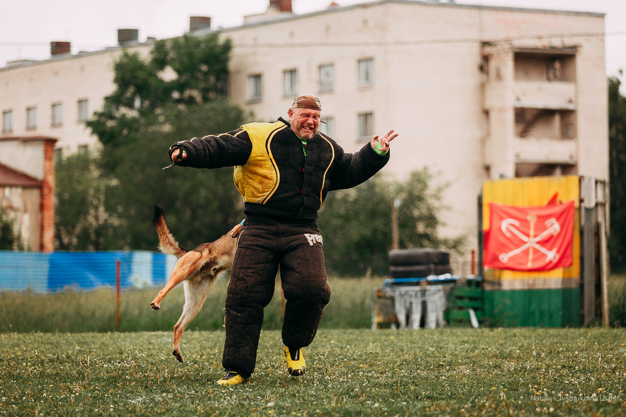 Соревнования БРР. Фотограф-анималист Наталия Чистюхина в г. Сосновый Бор и ЛО