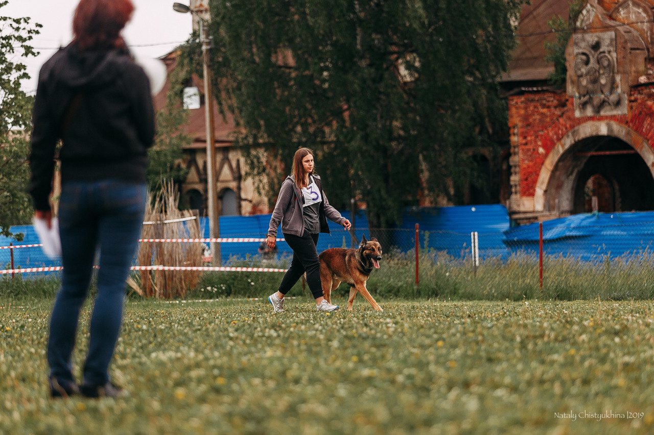 Соревнования БРР. Фотограф-анималист Наталия Чистюхина в г. Сосновый Бор и ЛО