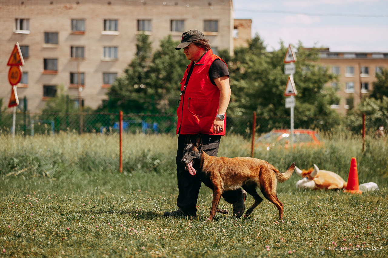 Соревнования по мондьорингу. Фотограф-анималист Наталия Чистюхина в г. Сосновый Бор и ЛО