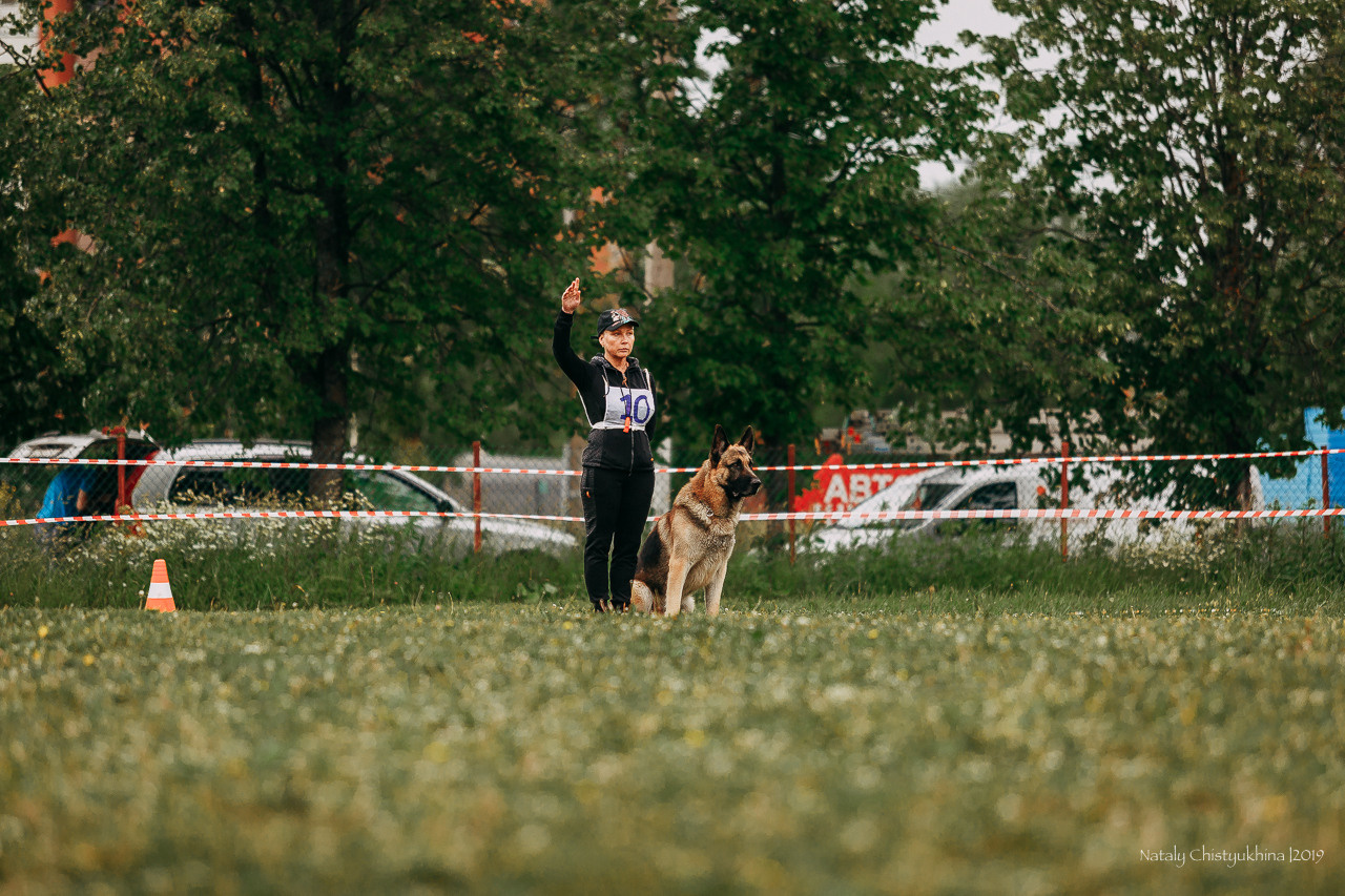 Соревнования БРР. Фотограф-анималист Наталия Чистюхина в г. Сосновый Бор и ЛО