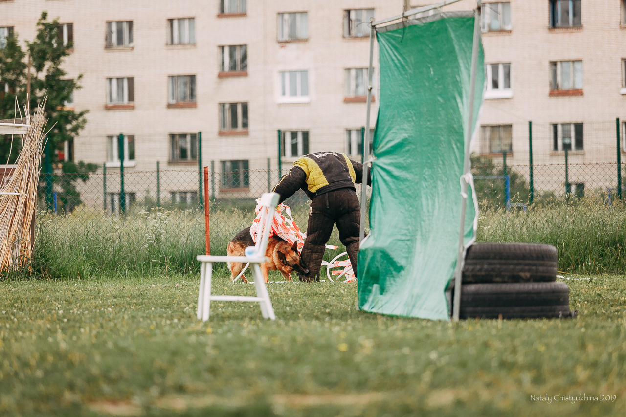 Соревнования БРР. Фотограф-анималист Наталия Чистюхина в г. Сосновый Бор и ЛО