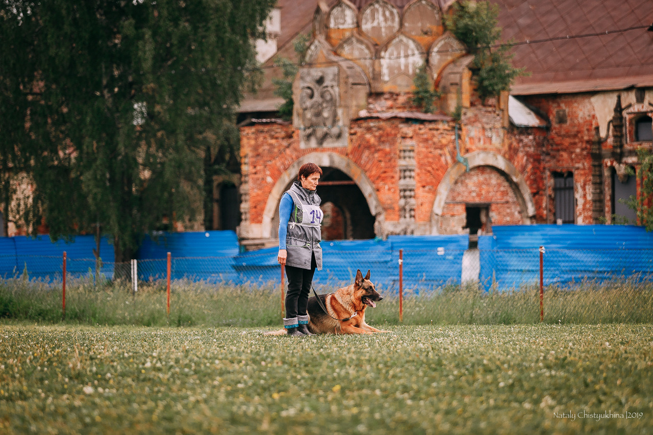 Соревнования БРР. Фотограф-анималист Наталия Чистюхина в г. Сосновый Бор и ЛО