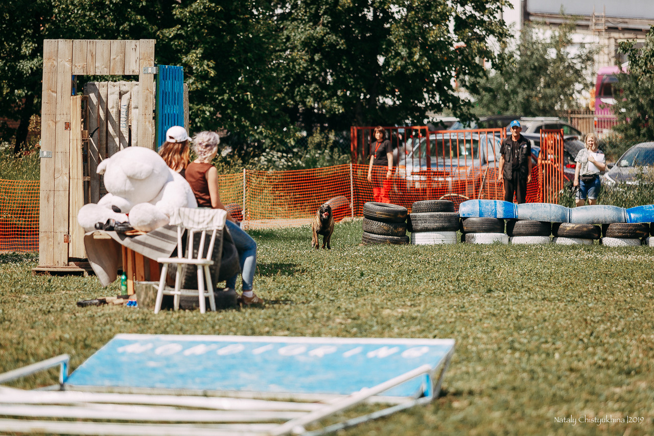 Соревнования по мондьорингу. Фотограф-анималист Наталия Чистюхина в г. Сосновый Бор и ЛО