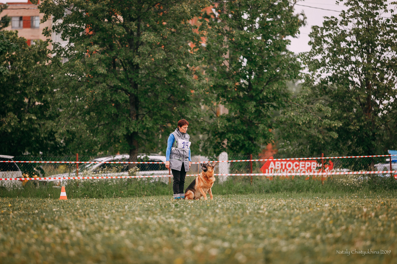 Соревнования БРР. Фотограф-анималист Наталия Чистюхина в г. Сосновый Бор и ЛО