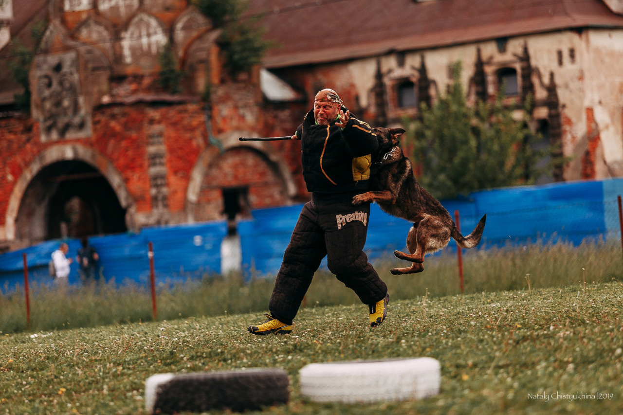 Соревнования БРР. Фотограф-анималист Наталия Чистюхина в г. Сосновый Бор и ЛО
