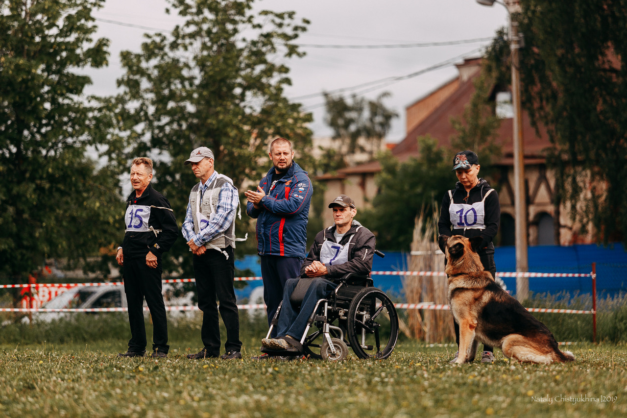 Соревнования БРР. Фотограф-анималист Наталия Чистюхина в г. Сосновый Бор и ЛО