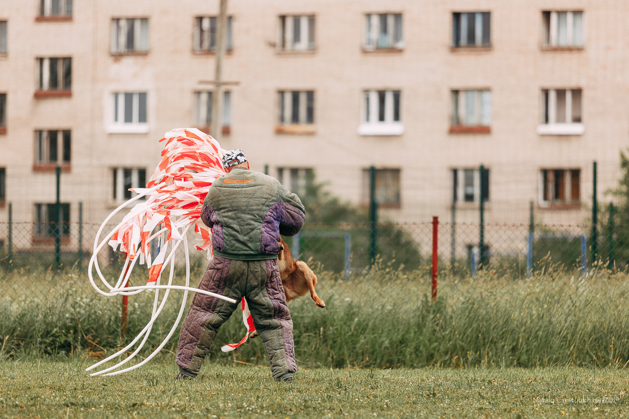 Соревнования БРР. Фотограф-анималист Наталия Чистюхина в г. Сосновый Бор и ЛО