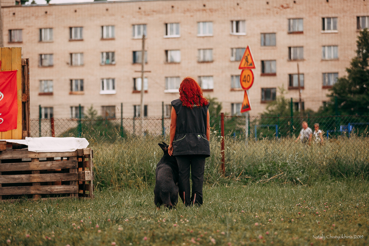 Соревнования по мондьорингу. Фотограф-анималист Наталия Чистюхина в г. Сосновый Бор и ЛО