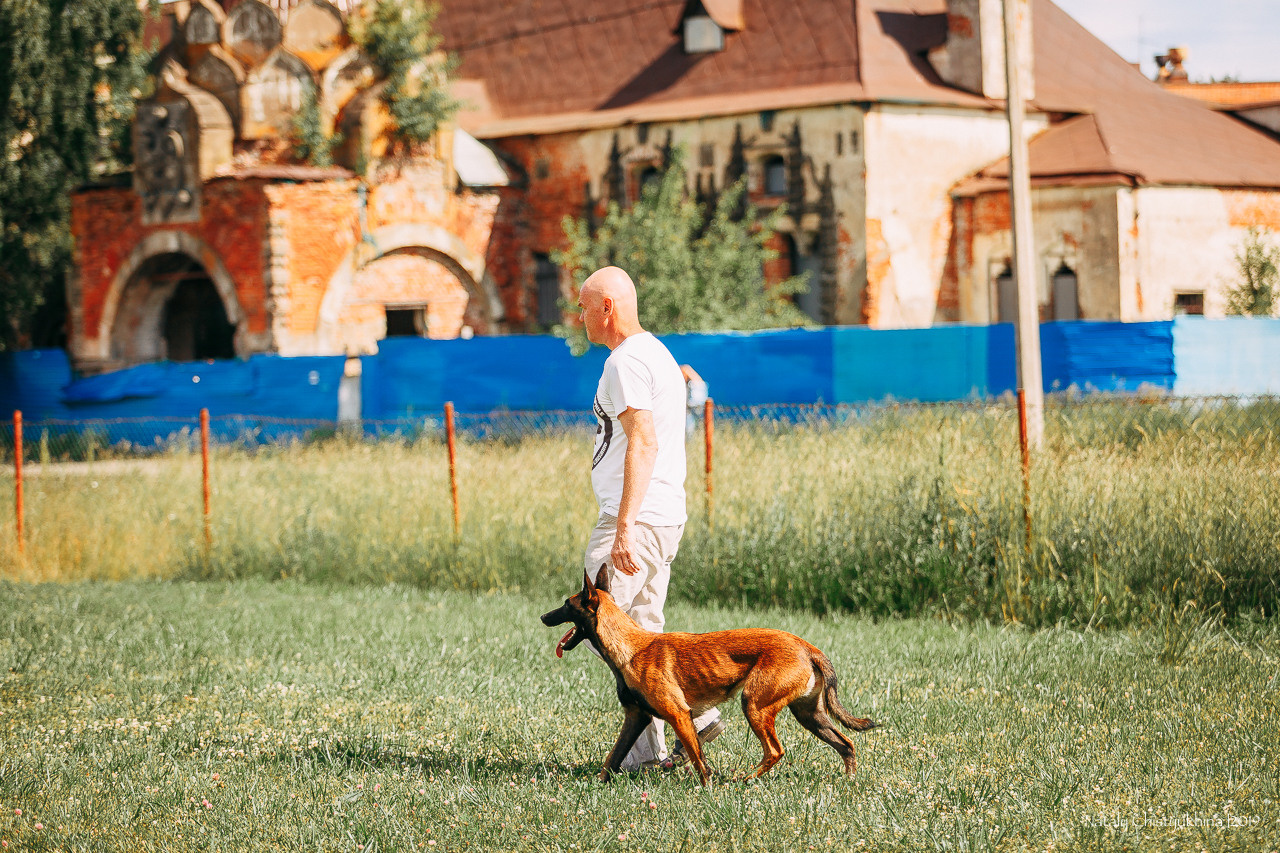 Соревнования по мондьорингу. Фотограф-анималист Наталия Чистюхина в г. Сосновый Бор и ЛО