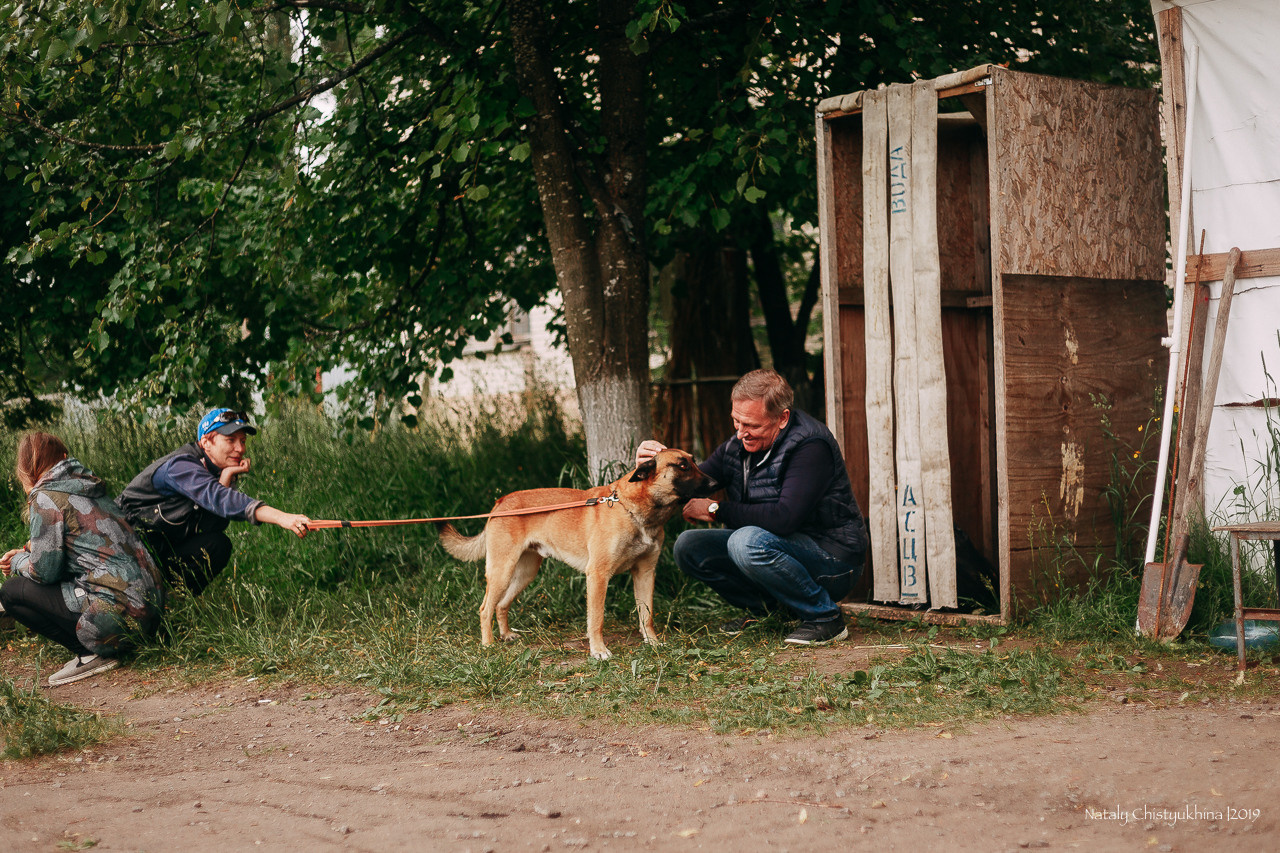 Соревнования БРР. Фотограф-анималист Наталия Чистюхина в г. Сосновый Бор и ЛО