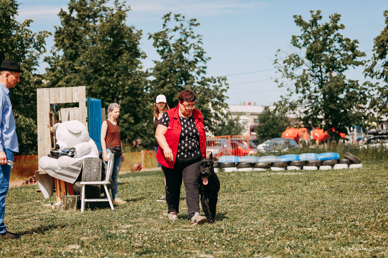 Соревнования по мондьорингу. Фотограф-анималист Наталия Чистюхина в г. Сосновый Бор и ЛО
