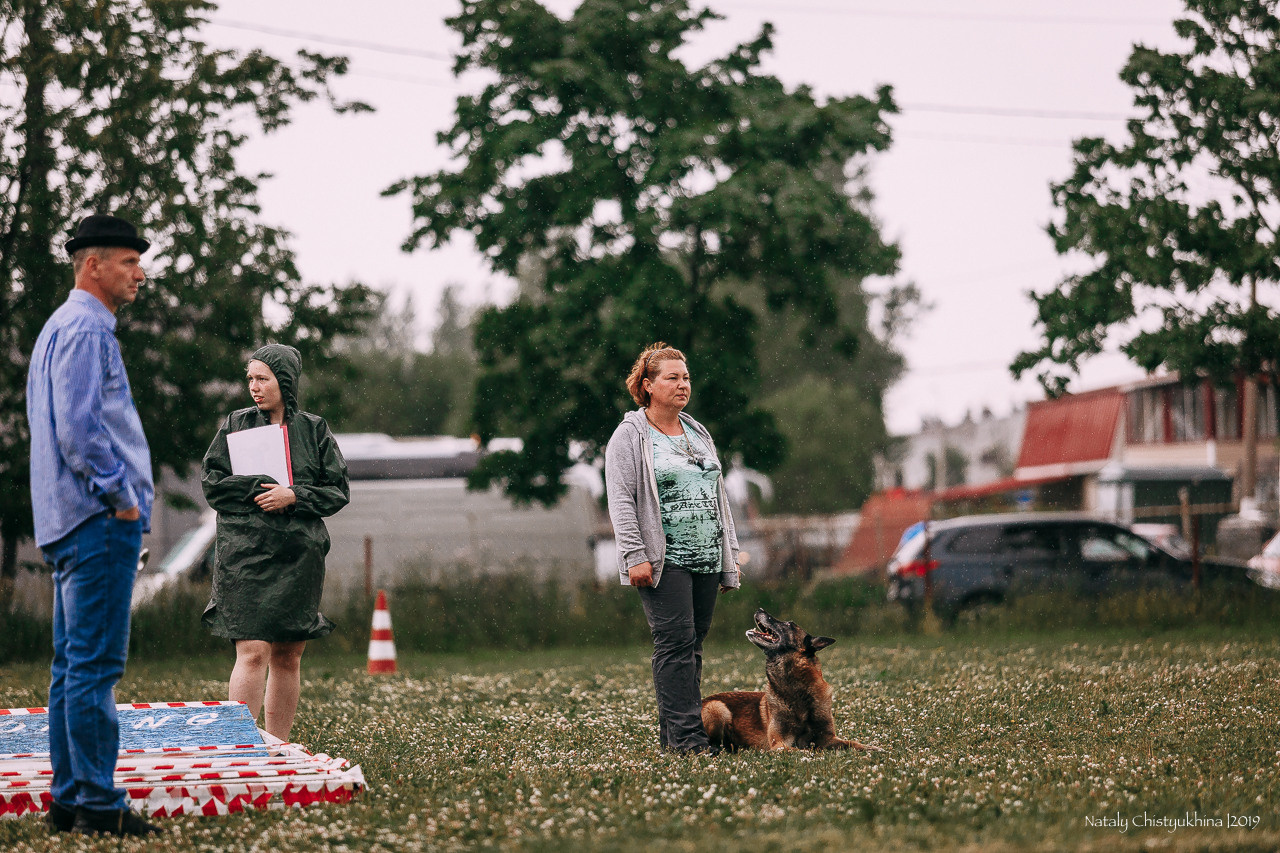 Соревнования по мондьорингу. Фотограф-анималист Наталия Чистюхина в г. Сосновый Бор и ЛО