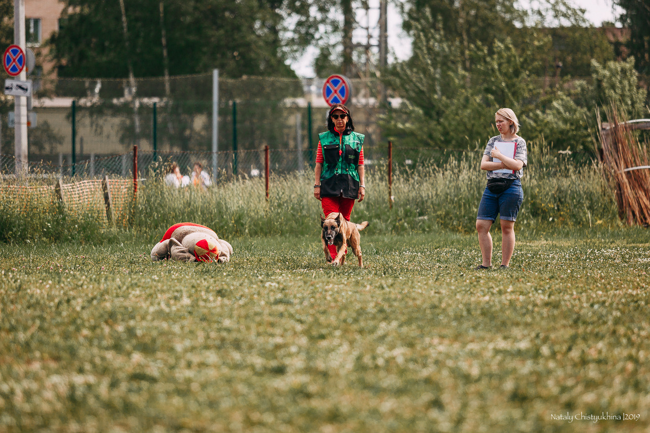 Соревнования по мондьорингу. Фотограф-анималист Наталия Чистюхина в г. Сосновый Бор и ЛО