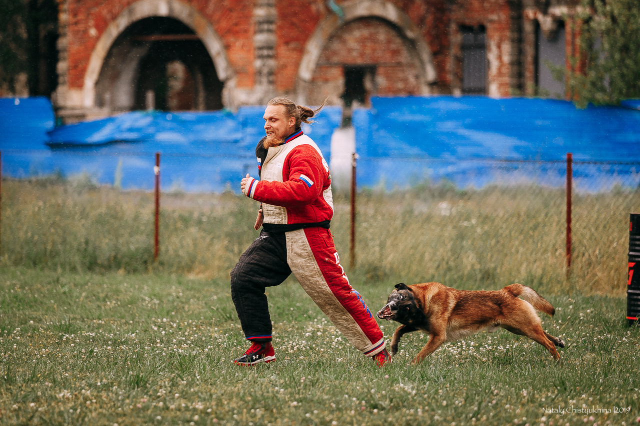 Соревнования по мондьорингу. Фотограф-анималист Наталия Чистюхина в г. Сосновый Бор и ЛО