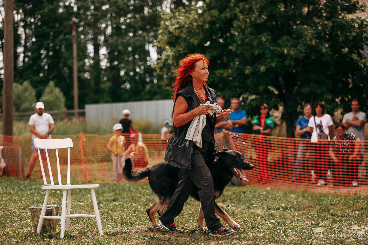 Соревнования по мондьорингу. Фотограф-анималист Наталия Чистюхина в г. Сосновый Бор и ЛО