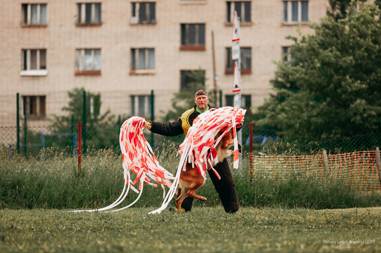 Соревнования БРР. Фотограф-анималист Наталия Чистюхина в г. Сосновый Бор и ЛО