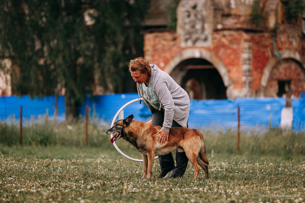 Соревнования по мондьорингу. Фотограф-анималист Наталия Чистюхина в г. Сосновый Бор и ЛО