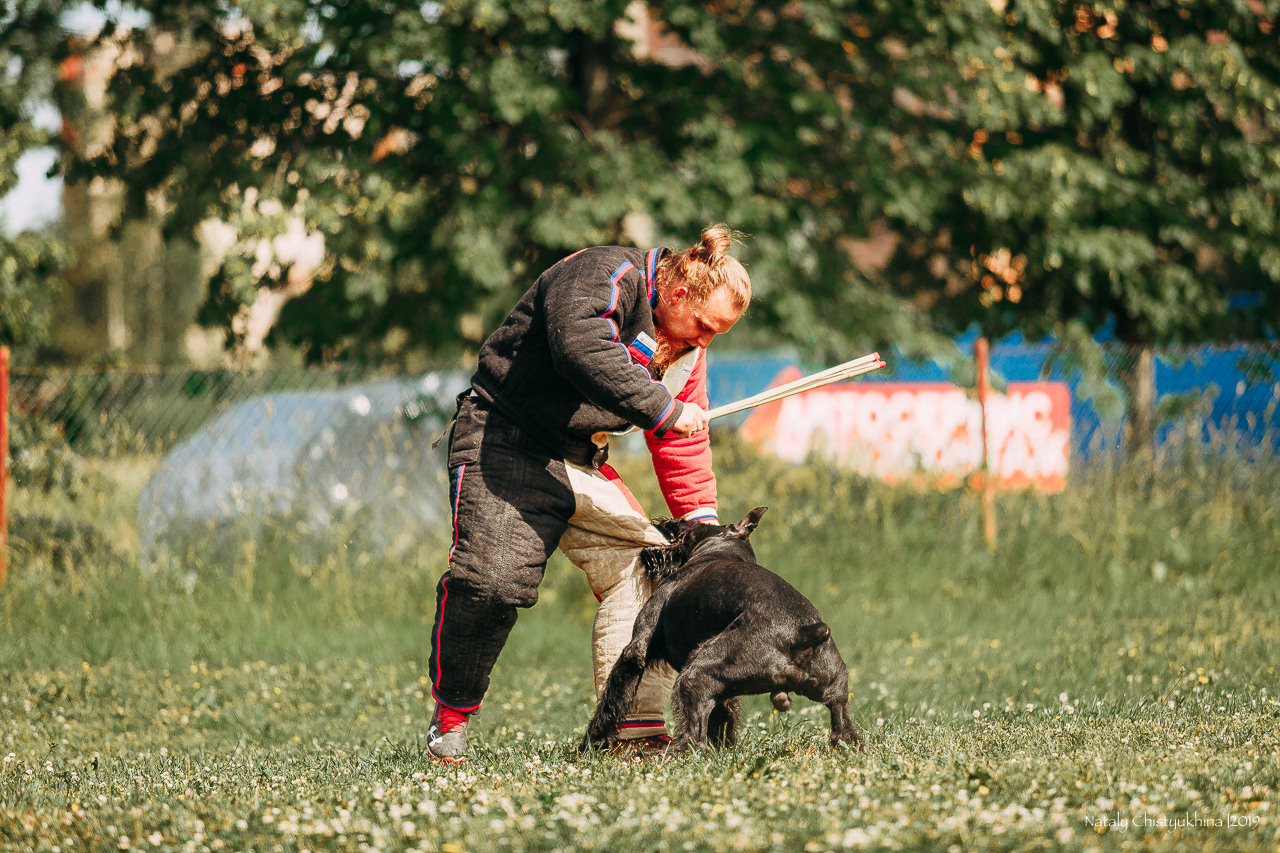 Соревнования по мондьорингу. Фотограф-анималист Наталия Чистюхина в г. Сосновый Бор и ЛО