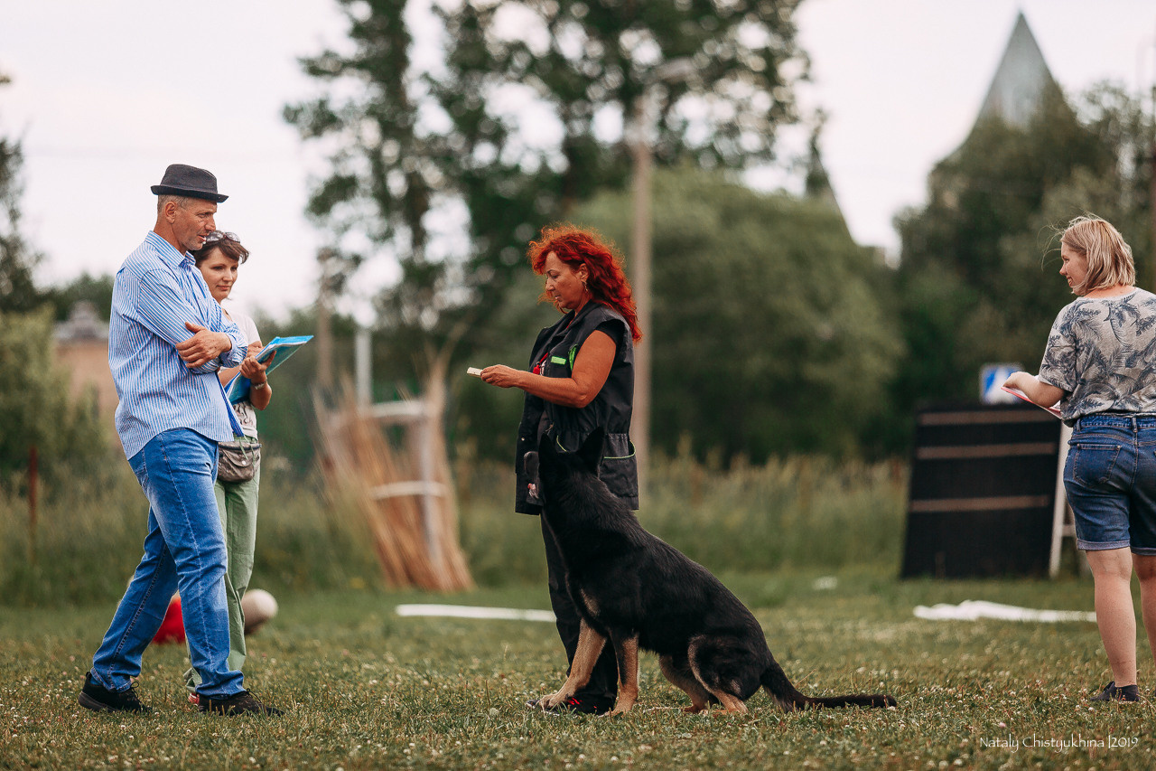 Соревнования по мондьорингу. Фотограф-анималист Наталия Чистюхина в г. Сосновый Бор и ЛО