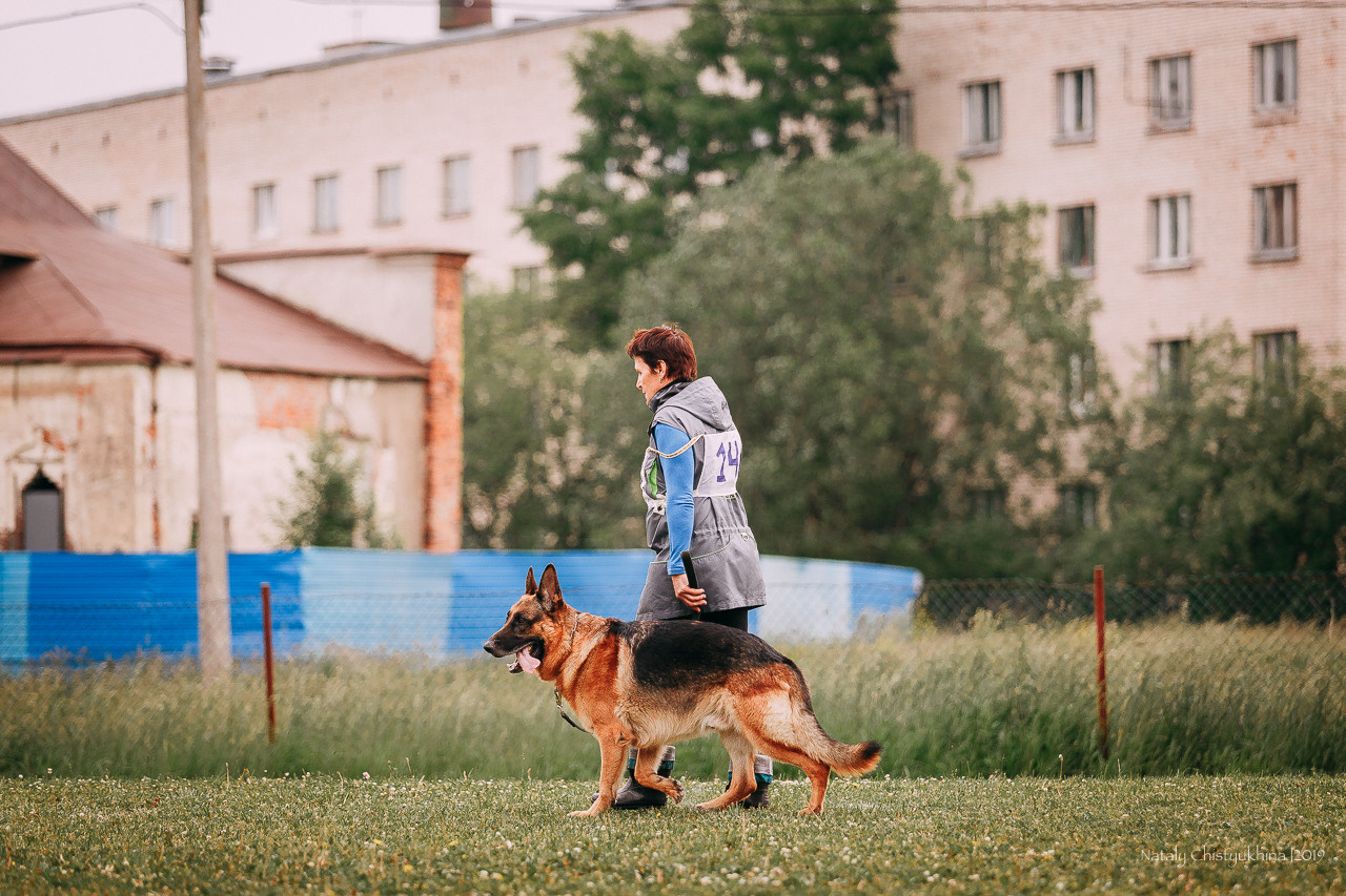 Соревнования БРР. Фотограф-анималист Наталия Чистюхина в г. Сосновый Бор и ЛО