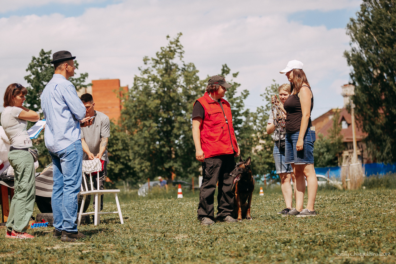 Соревнования по мондьорингу. Фотограф-анималист Наталия Чистюхина в г. Сосновый Бор и ЛО