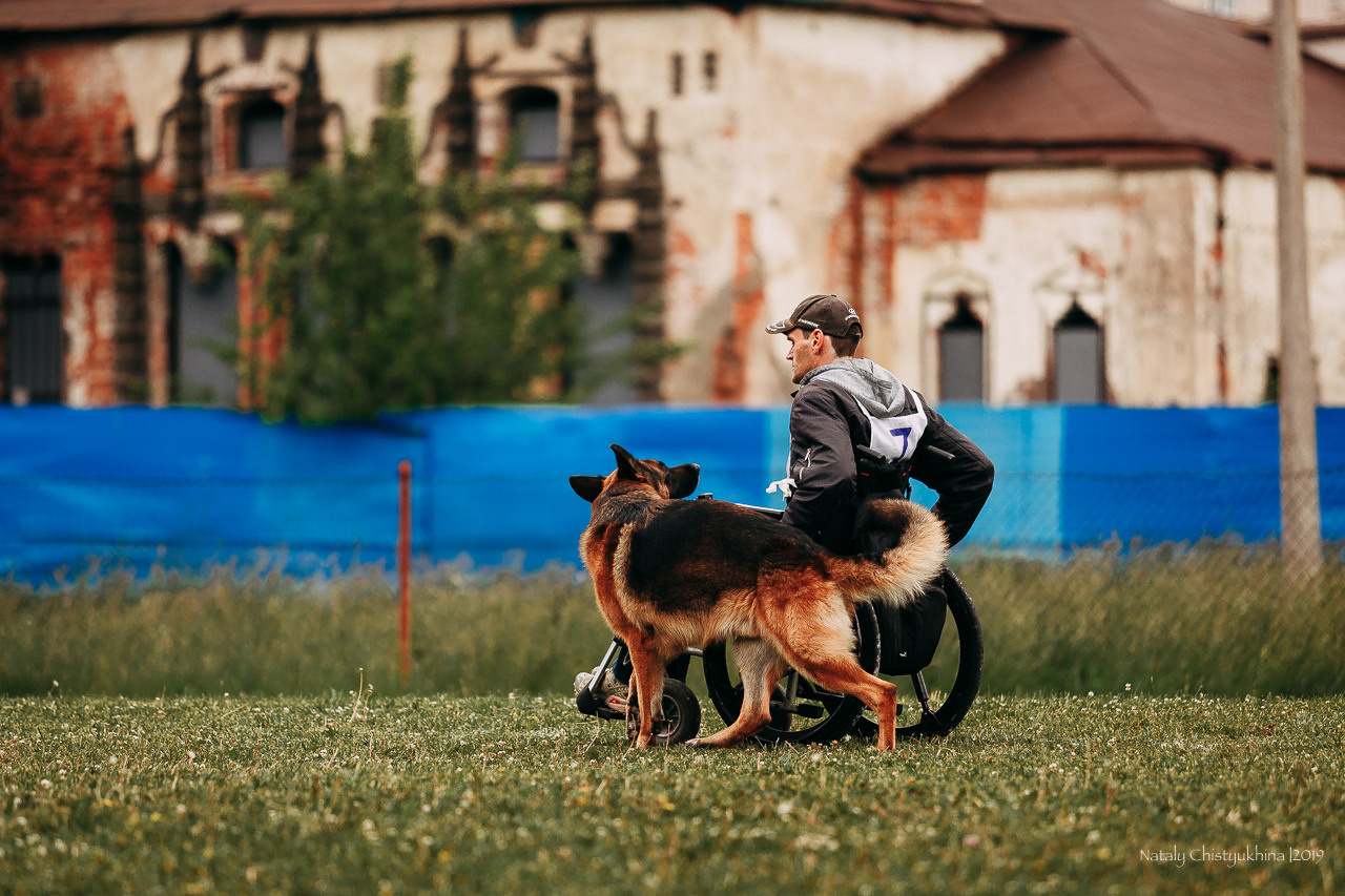Соревнования БРР. Фотограф-анималист Наталия Чистюхина в г. Сосновый Бор и ЛО