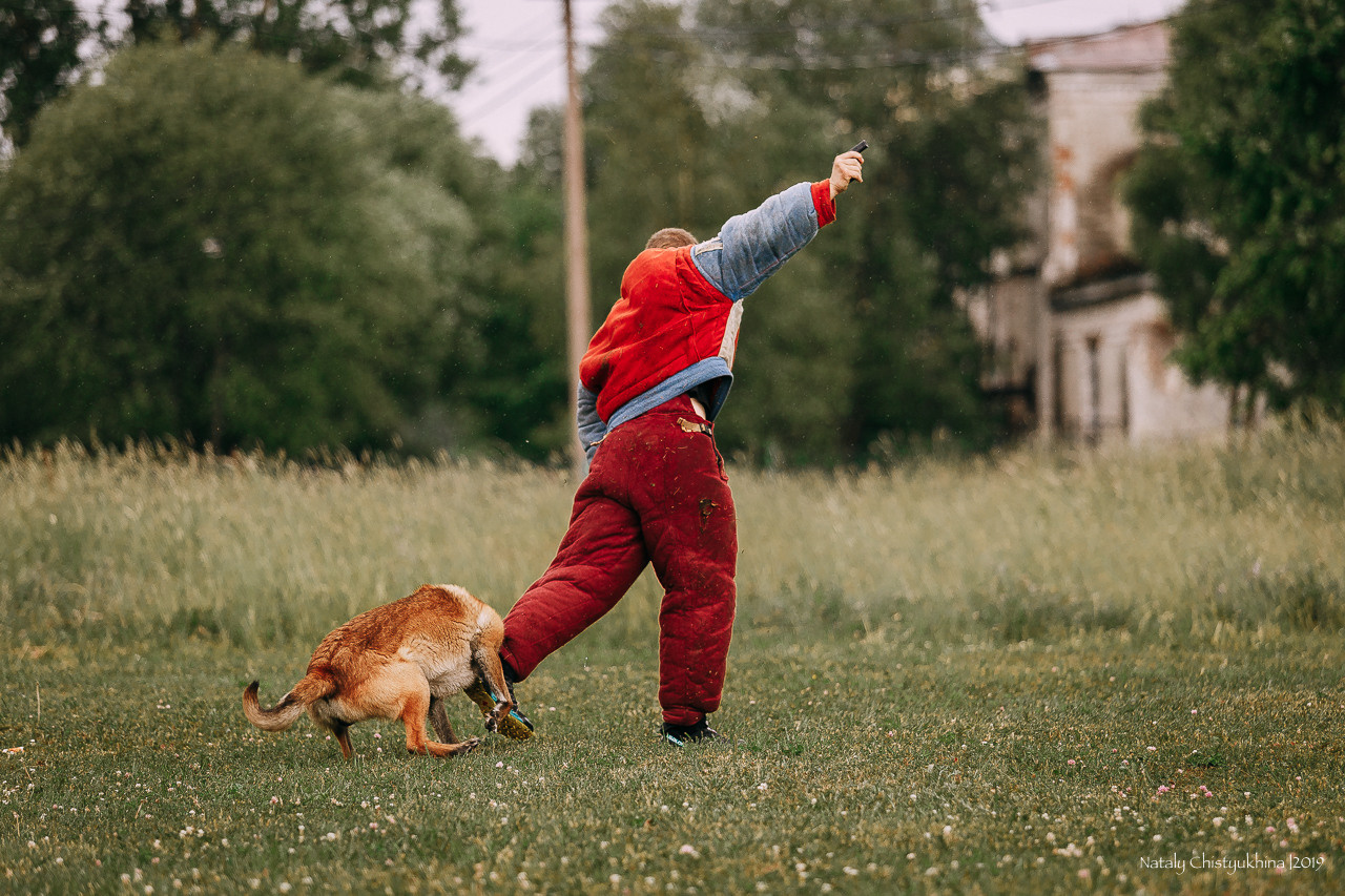 Соревнования по мондьорингу. Фотограф-анималист Наталия Чистюхина в г. Сосновый Бор и ЛО