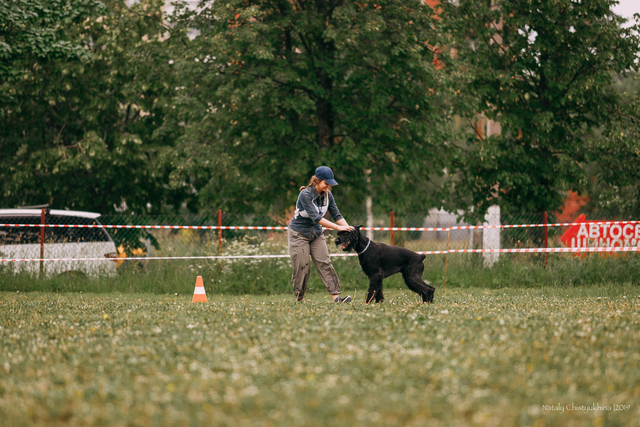 Соревнования БРР. Фотограф-анималист Наталия Чистюхина в г. Сосновый Бор и ЛО