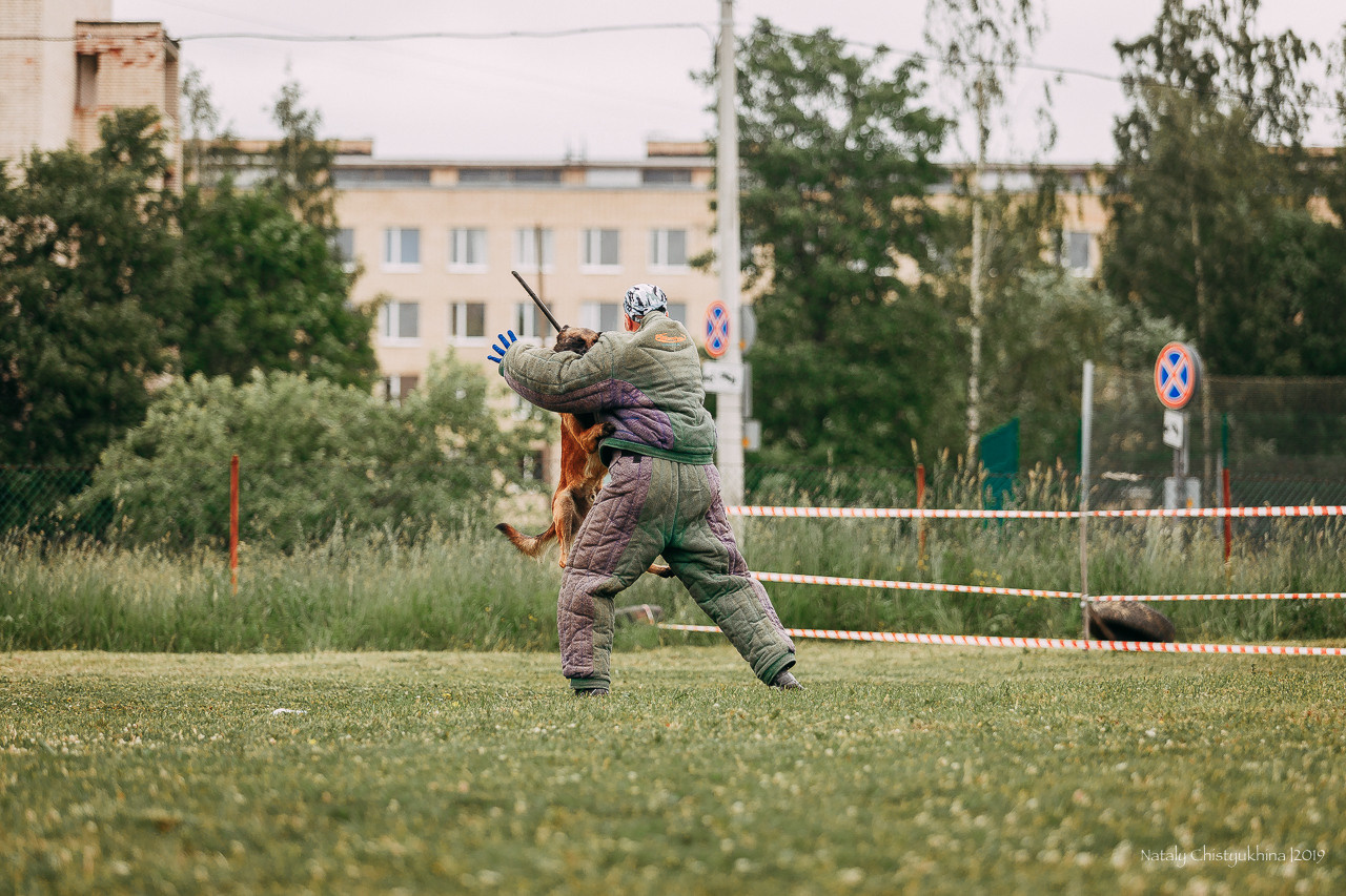Соревнования БРР. Фотограф-анималист Наталия Чистюхина в г. Сосновый Бор и ЛО