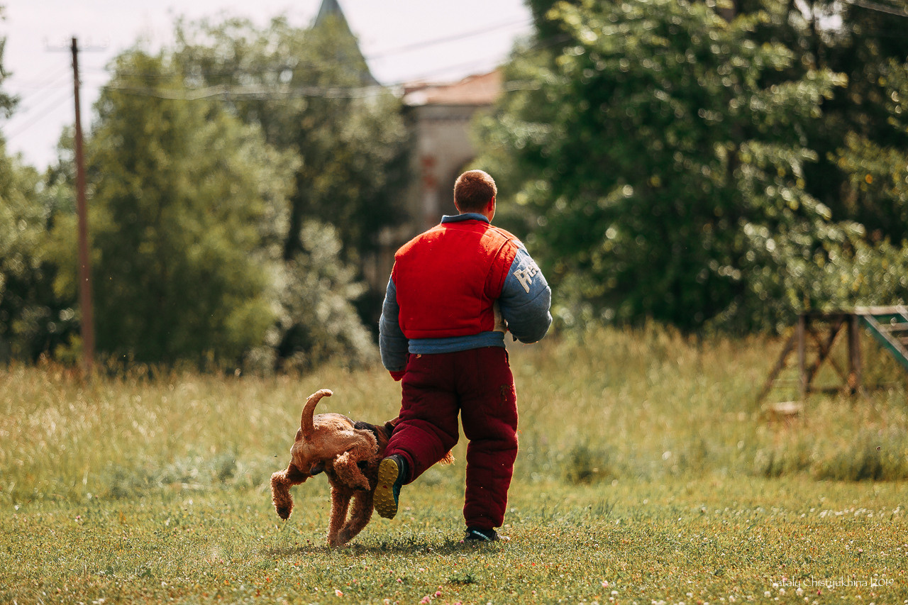 Соревнования по мондьорингу. Фотограф-анималист Наталия Чистюхина в г. Сосновый Бор и ЛО