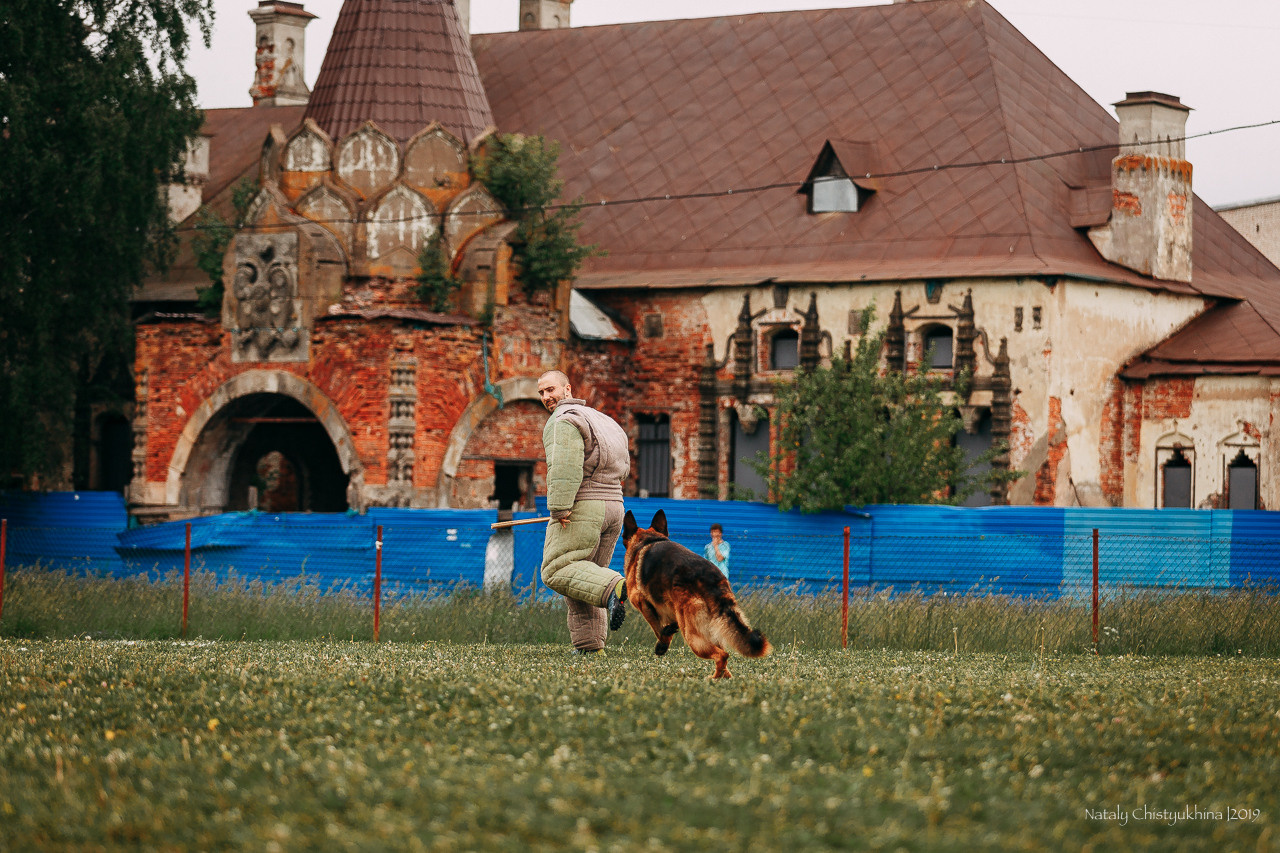 Соревнования БРР. Фотограф-анималист Наталия Чистюхина в г. Сосновый Бор и ЛО