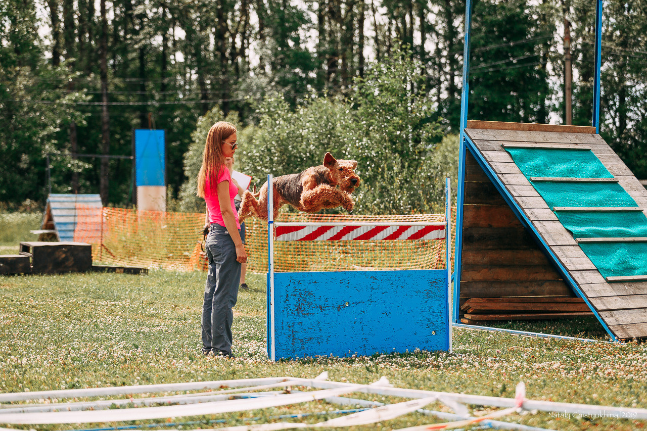 Соревнования по мондьорингу. Фотограф-анималист Наталия Чистюхина в г. Сосновый Бор и ЛО