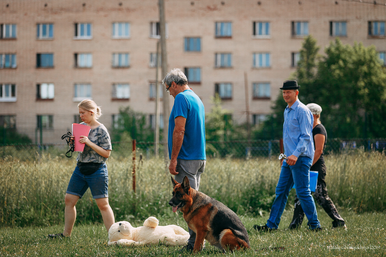 Соревнования по мондьорингу. Фотограф-анималист Наталия Чистюхина в г. Сосновый Бор и ЛО