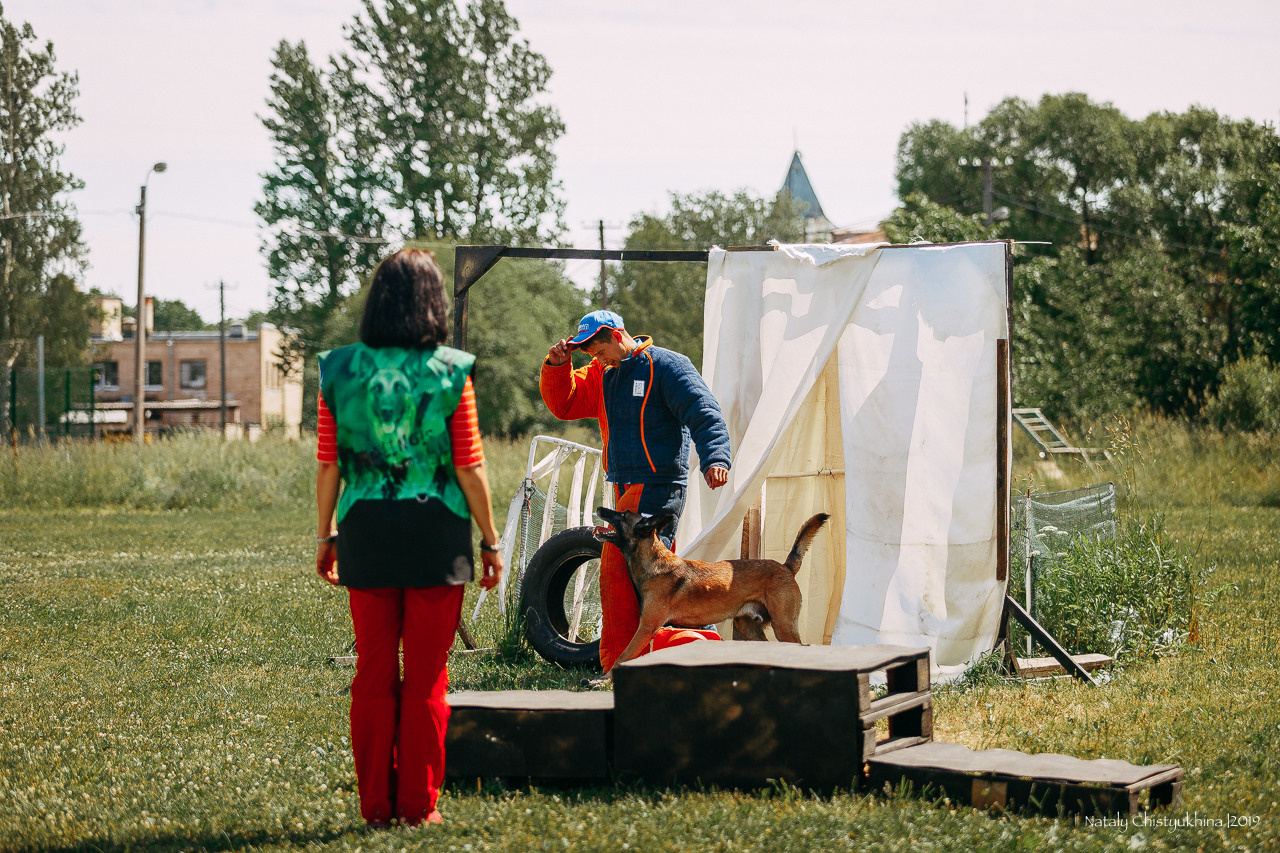 Соревнования по мондьорингу. Фотограф-анималист Наталия Чистюхина в г. Сосновый Бор и ЛО