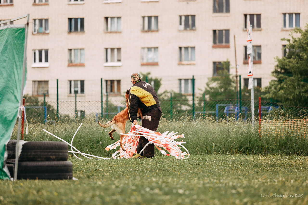 Соревнования БРР. Фотограф-анималист Наталия Чистюхина в г. Сосновый Бор и ЛО