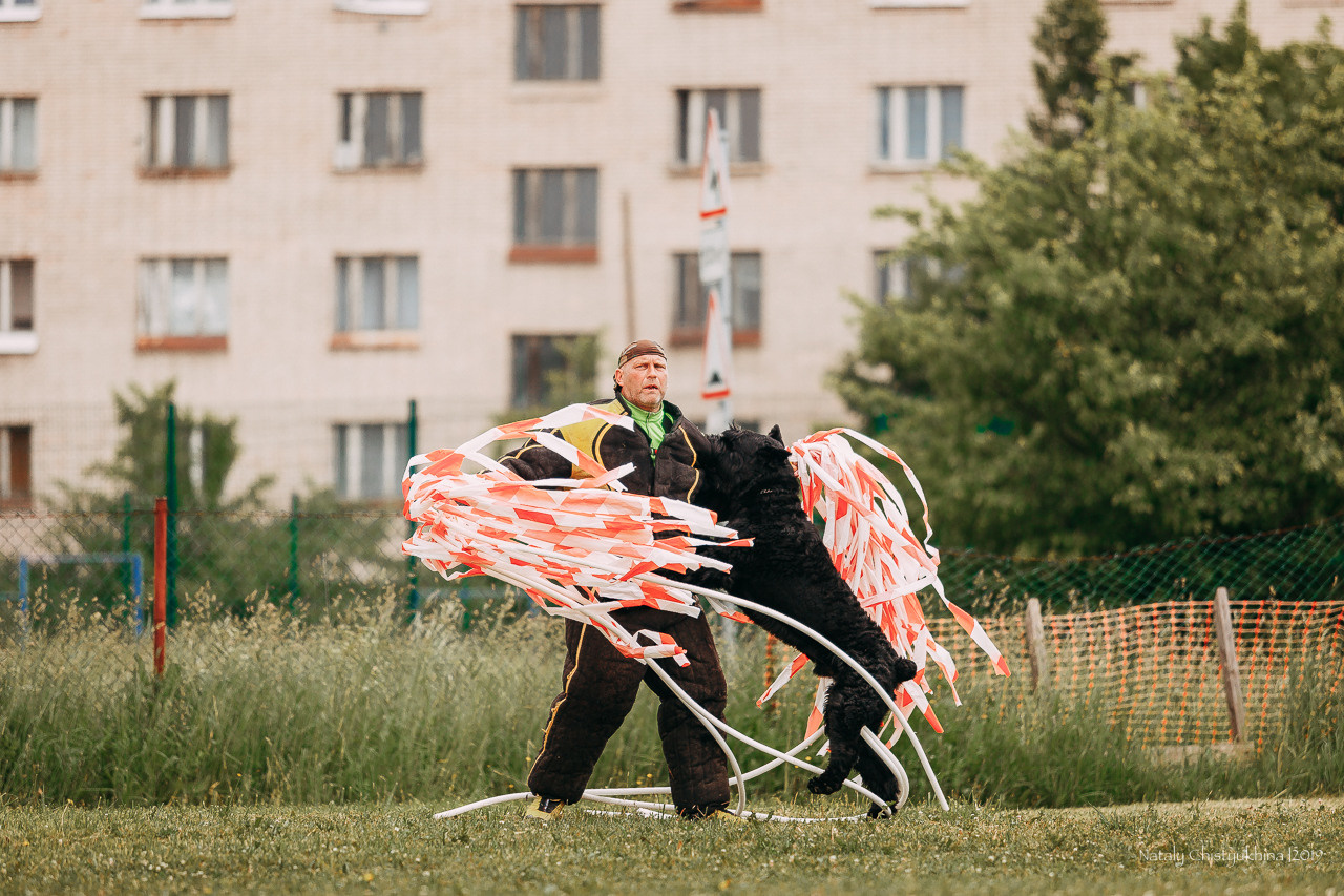 Соревнования БРР. Фотограф-анималист Наталия Чистюхина в г. Сосновый Бор и ЛО
